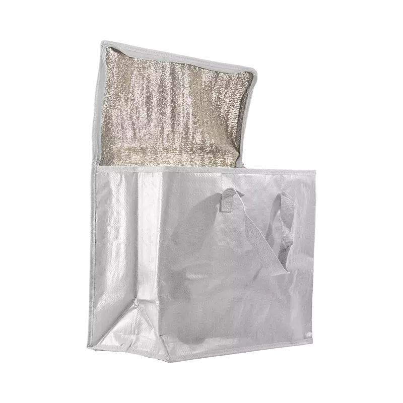 SAC GLACIERE REUTILISABLE HBSi1 36+20x30 CM