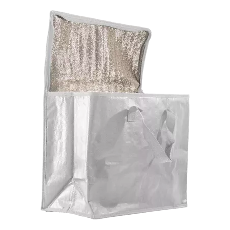 SAC GLACIERE REUTILISABLE HBSi1 36+20x30 CM
