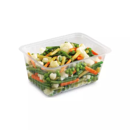 BARQUETTE SCELLABLE contenance 1000G taille 192X137 H55MM