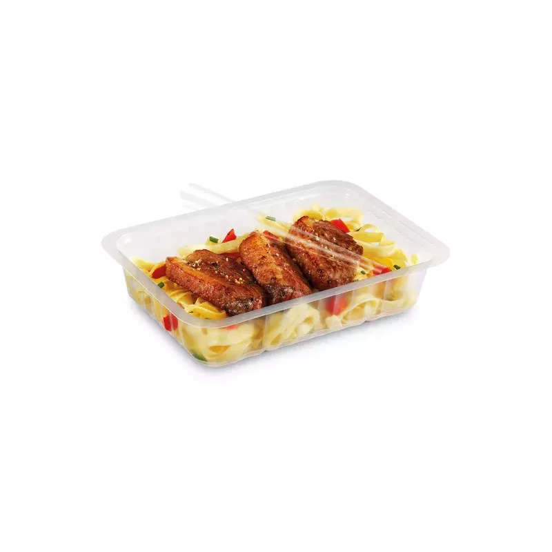 BARQUETTE SCELLABLE TRANSLUCIDE ALPHACEL PP 750G taille 192X137 H41MM