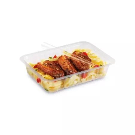 BARQUETTE SCELLABLE TRANSLUCIDE ALPHACEL PP 750G taille 192X137 H41MM