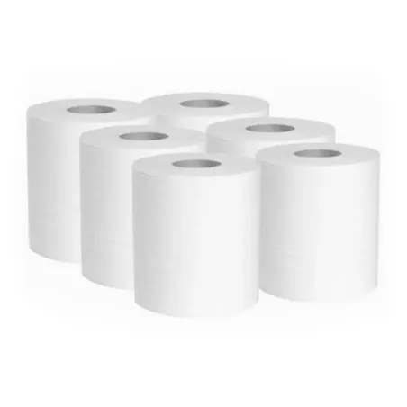 ESSUYAGE PAPIER 2 PLIS 450F taille de feuilles H17.5XL20CM